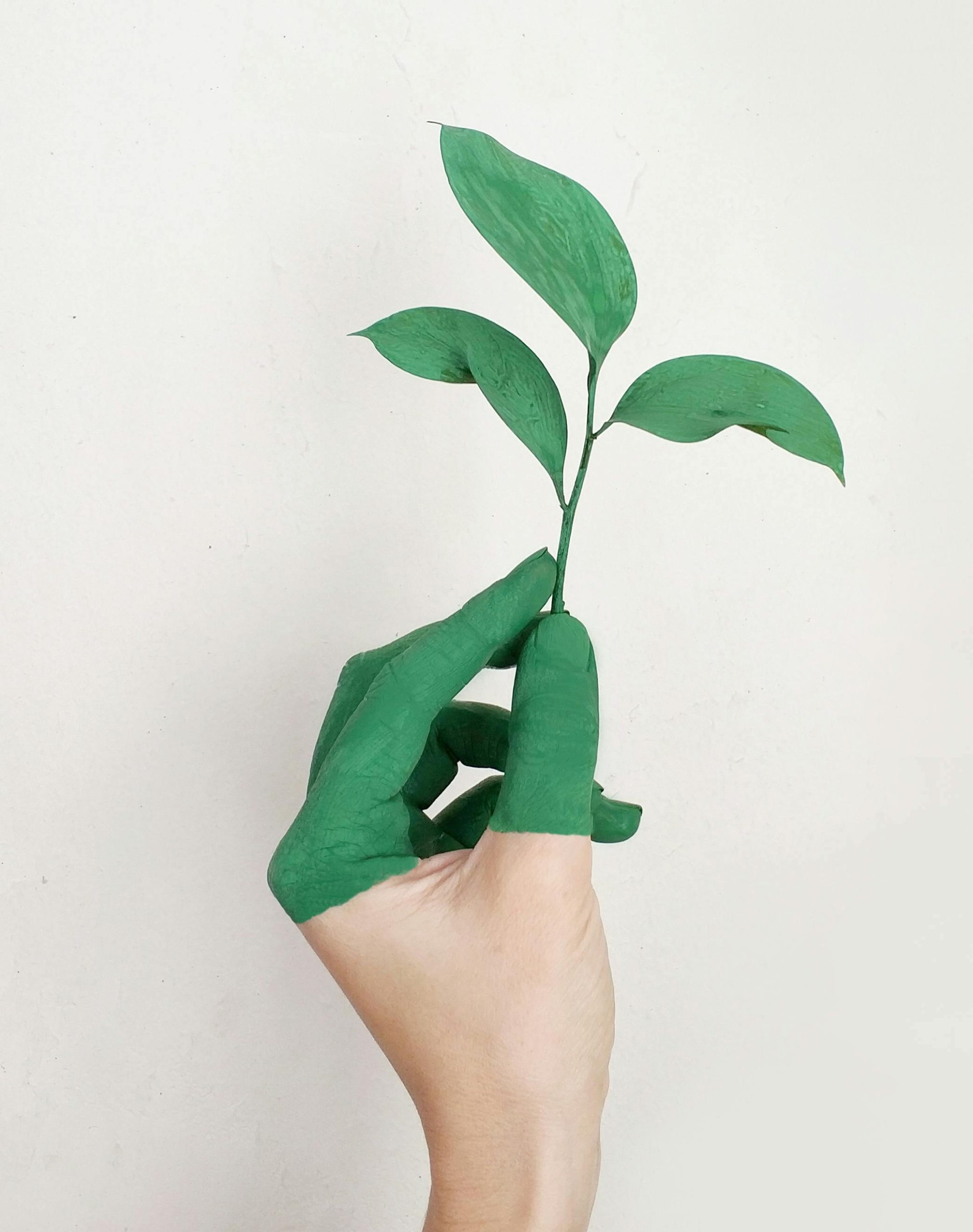 Book charity organizations